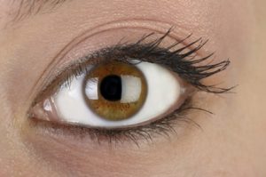 דלקת עיניים - שעורה בעין