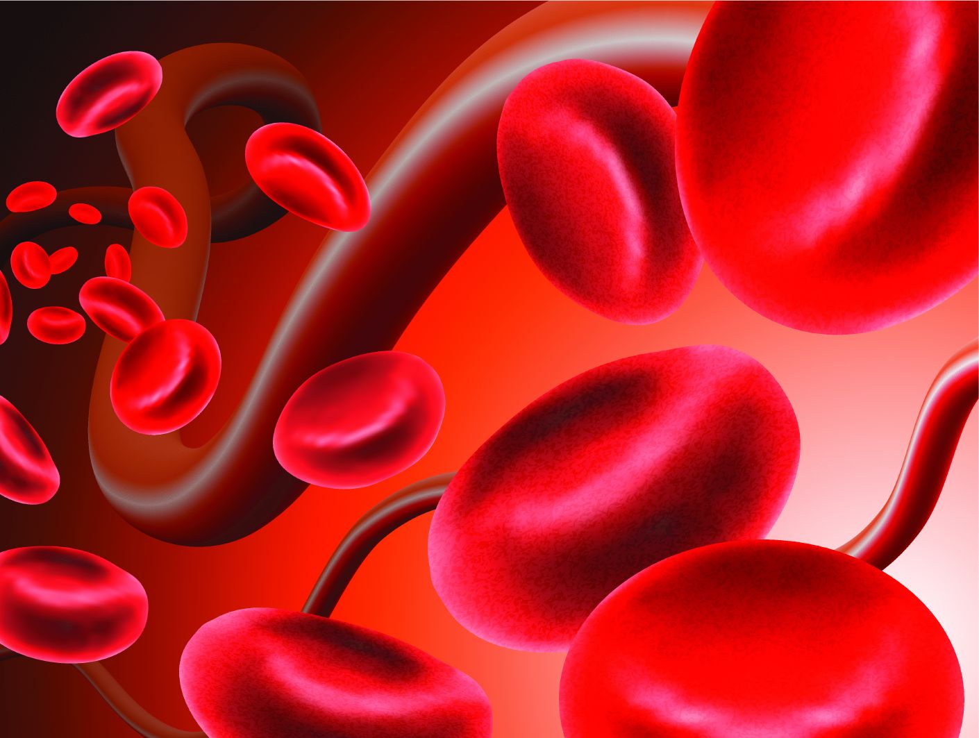 שומנים בדם - כדוריות דם אדומות
